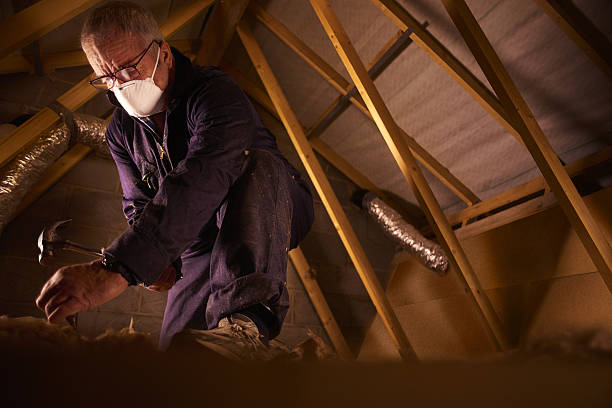 Best Insulation for Specific Applications in Mountain Lodge Park, NY